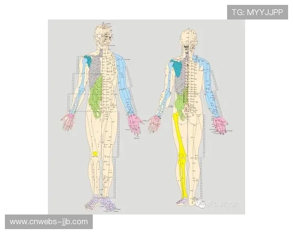 数字经络系统打通 疏通赛事执行信息阻塞